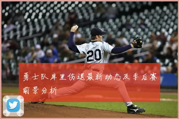 勇士队库里伤退最新动态及季后赛前景分析