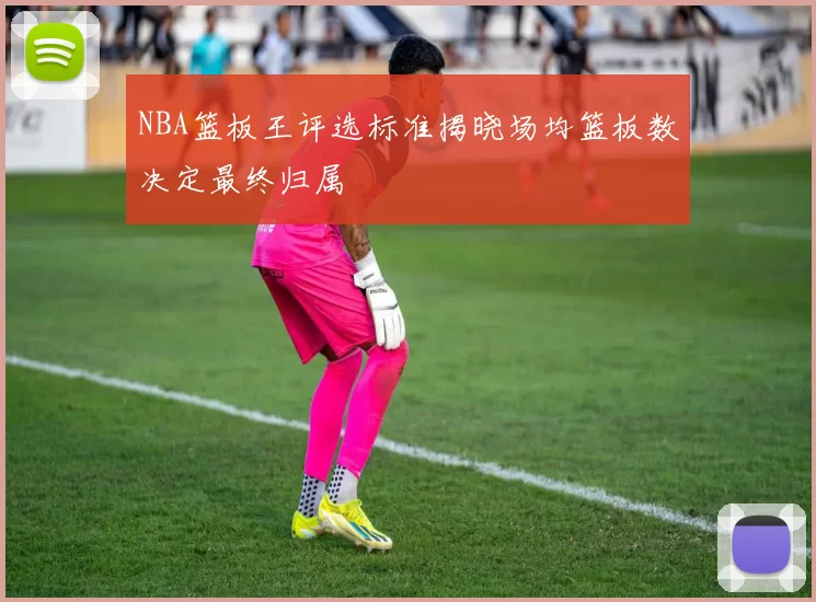 NBA篮板王评选标准揭晓场均篮板数决定最终归属