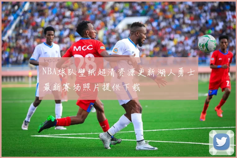 NBA球队壁纸超清资源更新湖人勇士最新赛场照片提供下载