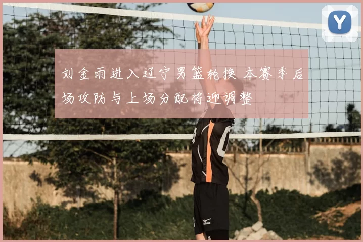 刘金雨进入辽宁男篮轮换 本赛季后场攻防与上场分配将迎调整