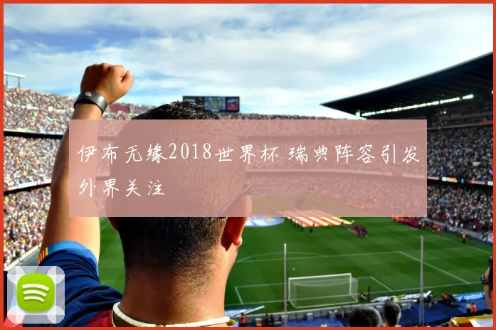 伊布无缘2018世界杯 瑞典阵容引发外界关注